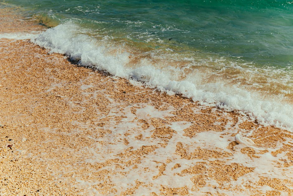  Bild des Toten Meeres, das allein aus seinem hohen Salzgehalt lebt