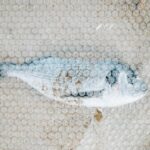 Bilderzeugnis der Gefahren von Plastik im Meer