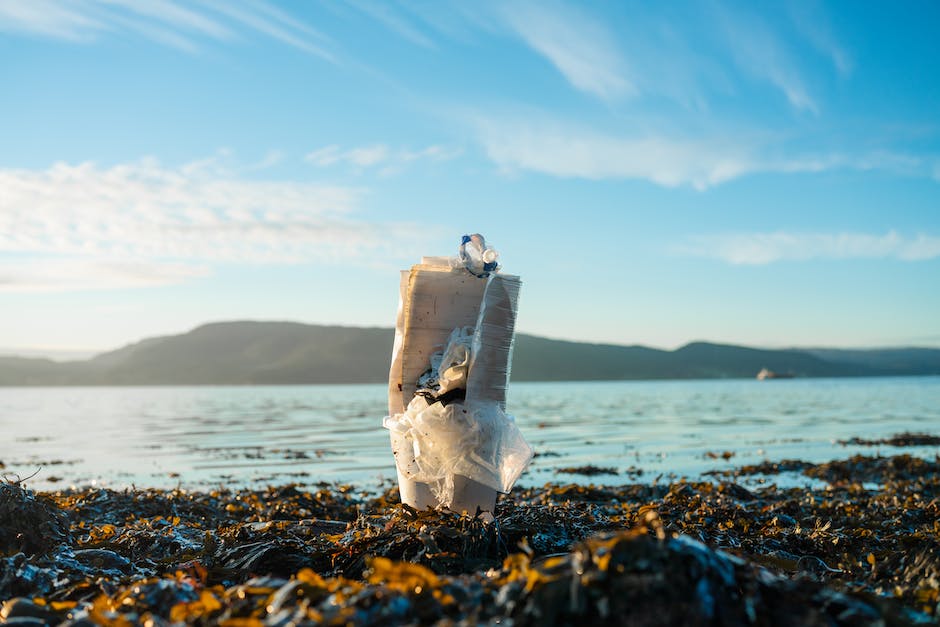  Plastikmüllkontaminierung im Meer