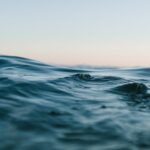 Plastik im Meer: Die ökologische Herausforderung
