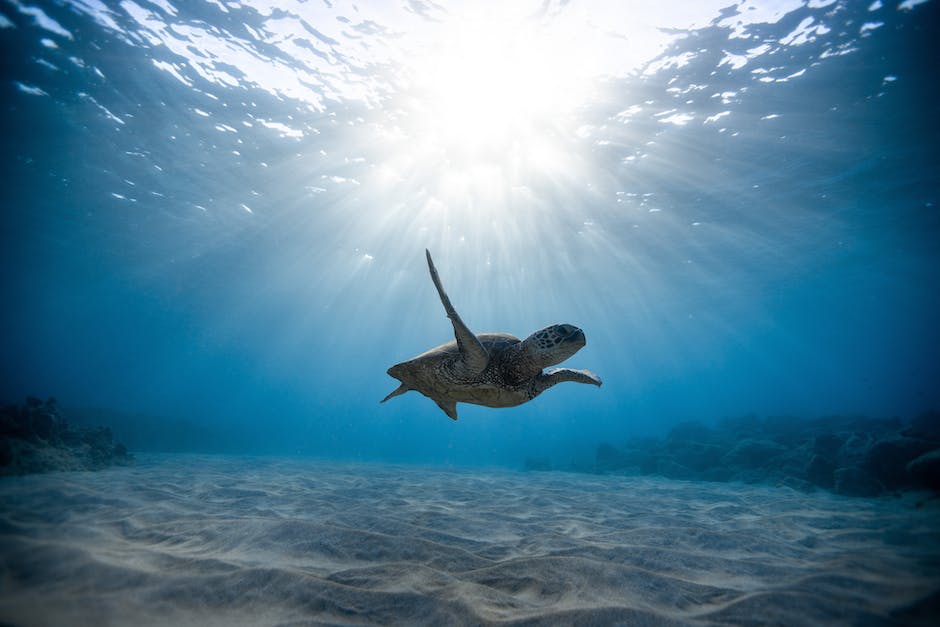 Plastikmüll im Meer reduzieren