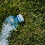 Plastikmüll im Meer – Ursache und Auswirkungen
