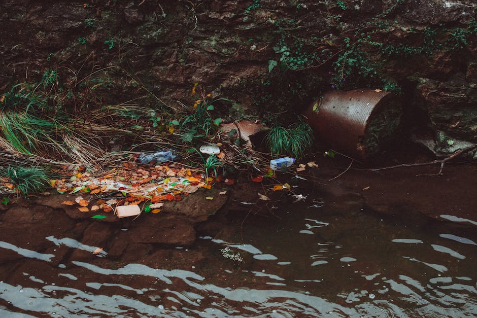  Plastikverschmutzung in Ozeanen