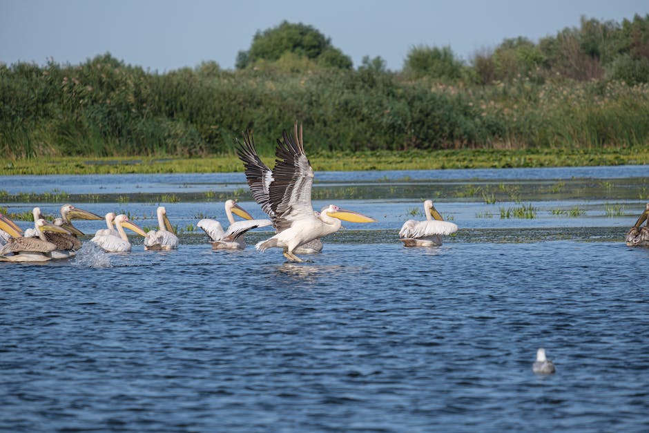  Donau-Mündung ins Schwarze Meer