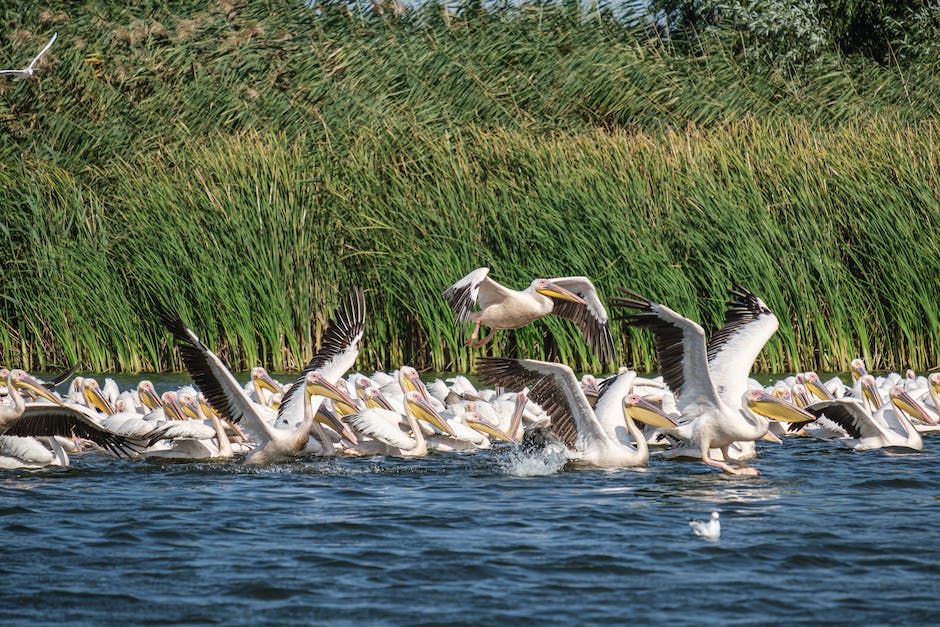  Donau Mündung ins Schwarze Meer