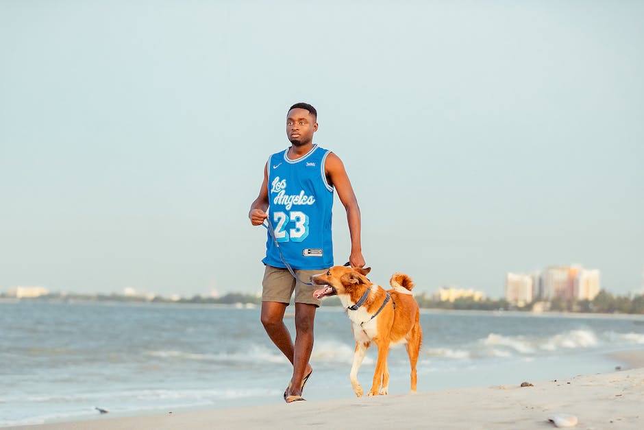 Spaziergang an der Küste mit dem Hund