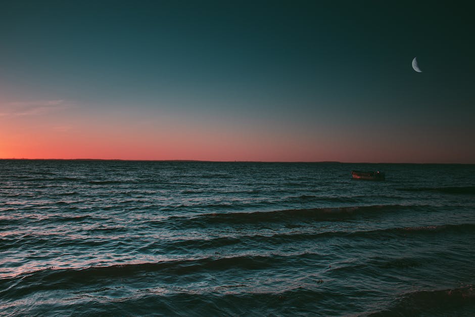 Fischarten im Steinhuder Meer