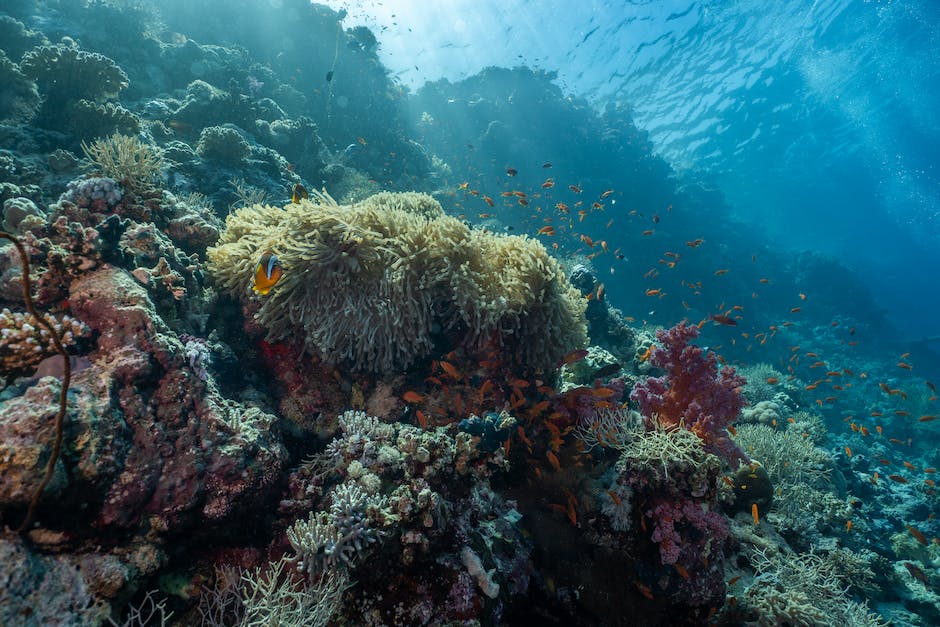  Bild des Mose, der das Rote Meer teilt