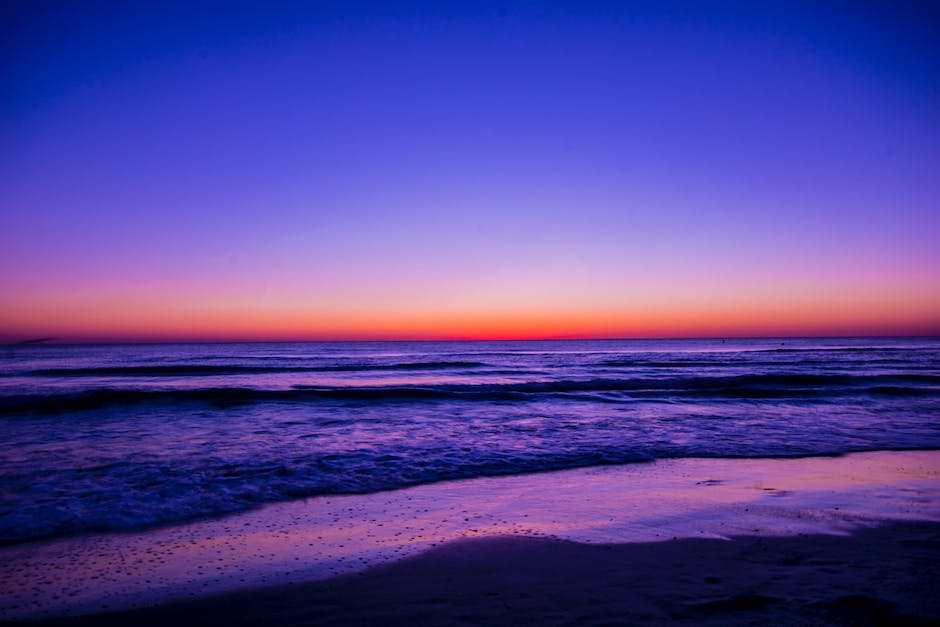 Müll im Meer landen - Ursachen und Folgen